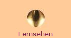 Fernsehen